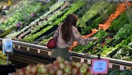 'Grocery buddies' supplement SNAP benefits amid government shutdown