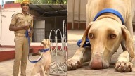 Mudhol Hounds steal the show at 70th State Police Duty Meet in Cuttack