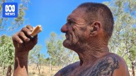 Search for missing man Mark Sear scaled back in WA's far north