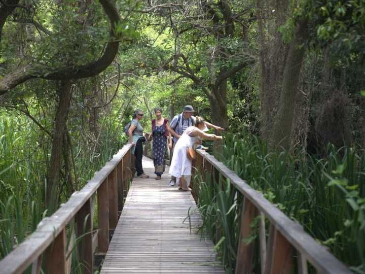 Cómo son los paseos por la Reserva Ecológica del Conurbano con más de 250 especies de aves y 80 de mariposas