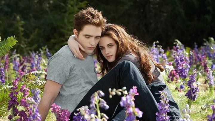 Stephenie Meyer’s Twilight saga was never the problem. Our contempt for teen girls was.