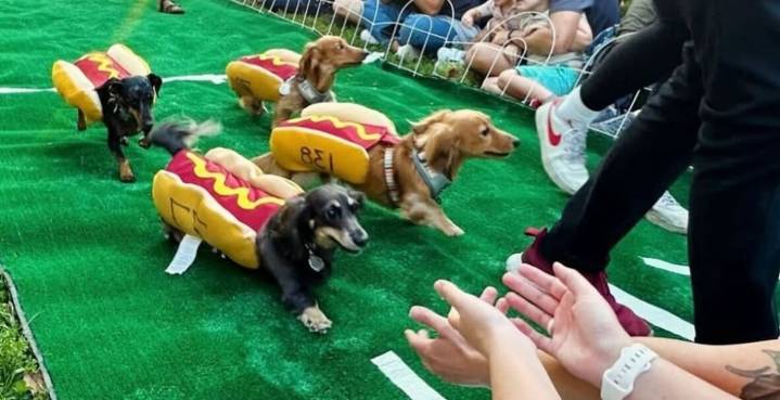 The Citizen Recommends: Lucky’s Great Weiner Race