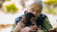 Conservationist Jane Goodall dies at 91
