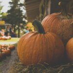 Metro Phoenix events calendar: Fall festivals, haunted houses, state fair and more