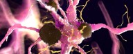 Parkinson's Discovery Suggests We May Have an FDA-Approved Treatment Already