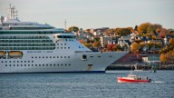 Casi 100 infectados por norovirus en un crucero de Royal Caribbean