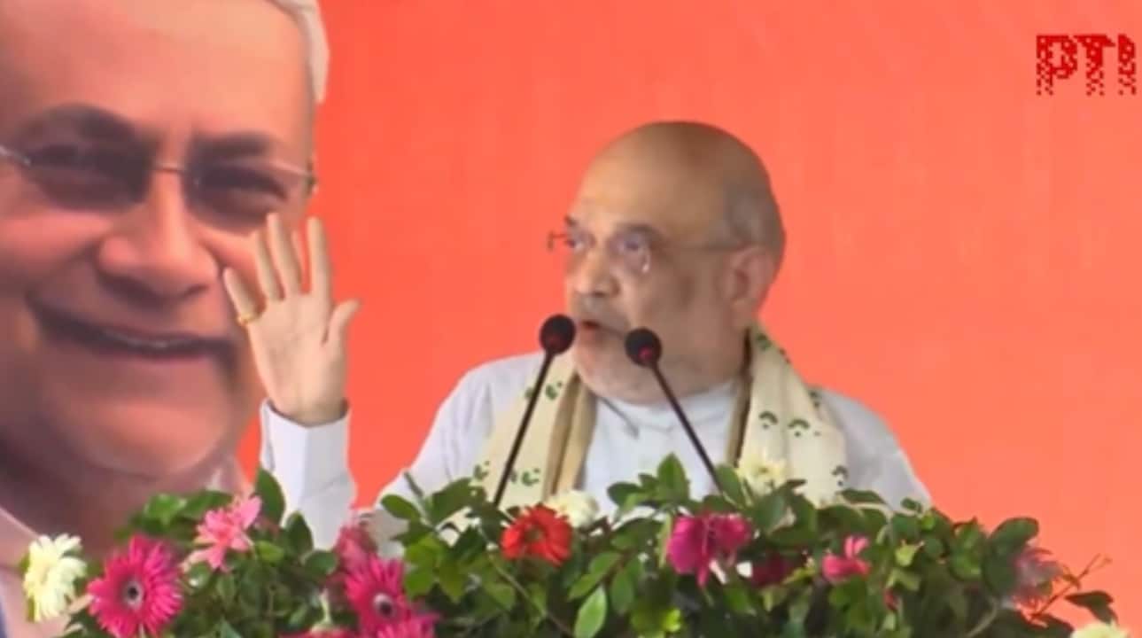 'Confident that Bihar will celebrate real Diwali on Nov 14 when RJD, its allies will face defeat': Amit Shah in Siwan
