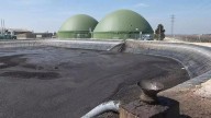 La consulta popular sobre la instalación de la planta de biometano en Las Torres de Cotillas se realizará el 14 de diciembre