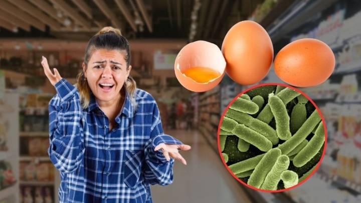 Elevan ALERTA por 6 millones de HUEVOS contaminados con salmonela: ¿qué marcas están afectadas?