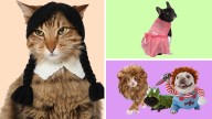 Shop top 2025 Halloween costumes for all types of pets