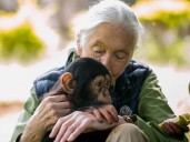 Último deseo de Jane Goodall: mandar a Trump, Musk, Putin y Netanyahu fuera del planeta