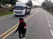 PÁNICO EN LA VÍA PANAMERICANA