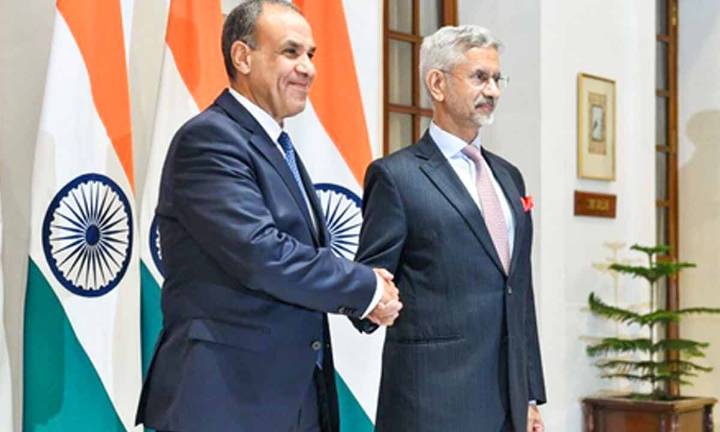 Growing India-Egypt ties open doors for collaboration in EV, renewables, fintech