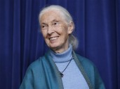 Conservationist Jane Goodall, whose work revolutionized the study of primates, has died