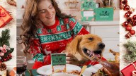How to get your dog involved in Christmas festivities 