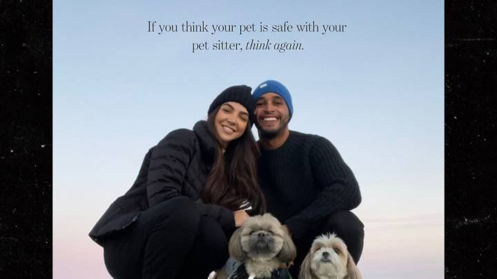 HGTV Couple Claims Pet-Sitter Covered Up Pooch's Brutal Death by Bigger Dog