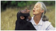 Muere Jane Goodall, la mujer que cambió la forma de entender a los chimpancés