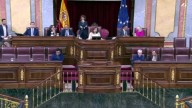 El PSOE tumba la iniciativa ciudadana para derogar la protección a la tauromaquia