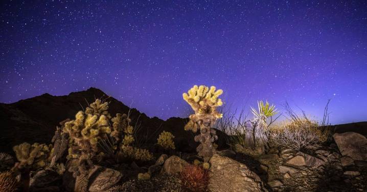 Five Tribes Form Chuckwalla National Monument Intertribal Commission to Lead Cultural Stewardship of Sacred Desert Lands