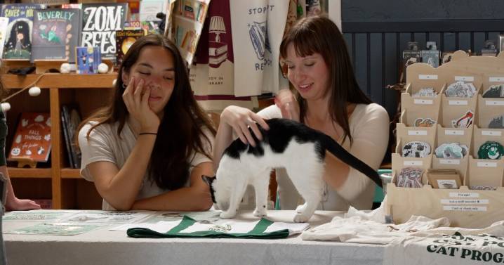 Cal Poly Cat Program hosts adoption event at Arroyo Grande bookstore