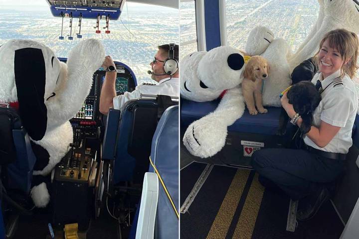 Puppies Starting Service Dog Training Celebrate with Snoopy and the Goodyear Blimp