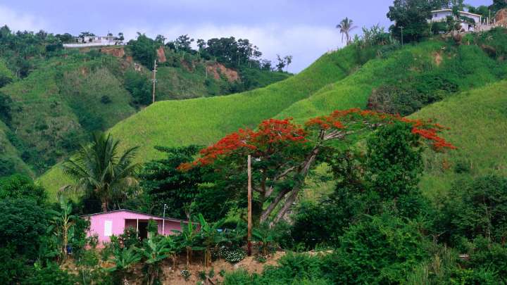 Dejaron el éxito en Silicon Valley para empezar de nuevo en Puerto Rico: hoy no cambiarían nada