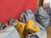 Mil 300 kilos de droga incautó la PDI en dos procedimientos