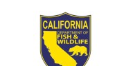Gray wolves lethally removed after killing 70 farm animals in Sierra Valley in 6 months