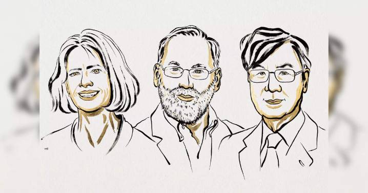 Nobel Prize in medicine goes to 3 scientists for work on human immune system