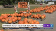 Great Pumpkin Patch returns to Tyler for 20th year, benefiting local youth programs