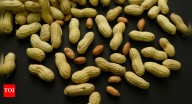 How are peanuts helping kids fight food allergies? Experts say early feeding could protect thousands