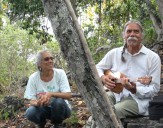 ‘Pulama Ohana: Cherish Family Earth’ blends music, dance, imagery