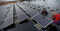 GCEDC declines applications for two solar farms in Pembroke