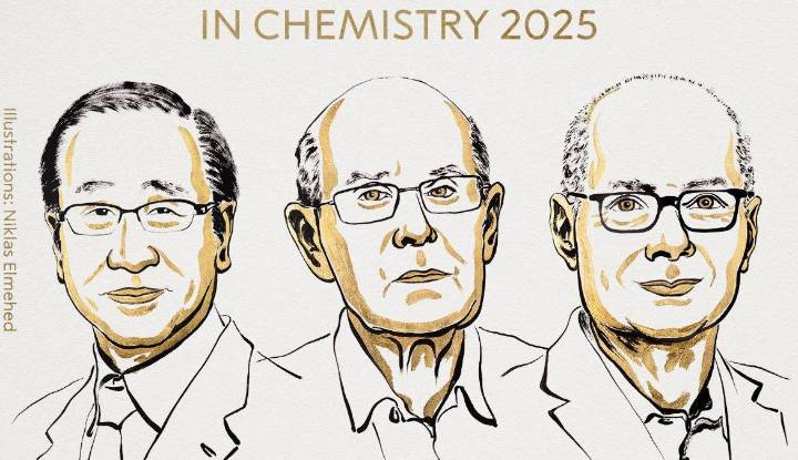 Nobel de Química para científicos que desarrollaron las estructuras metalorgánicas, ¿qué son y para qué sirven?
