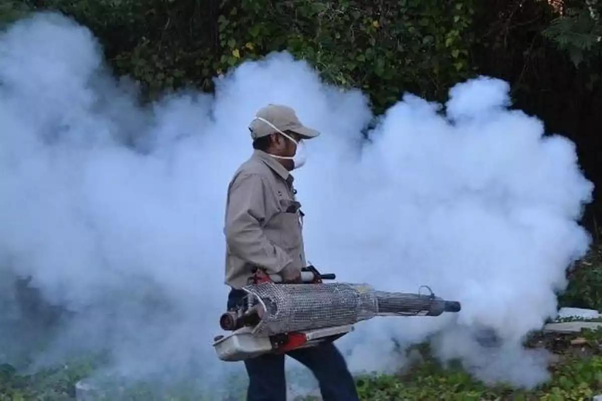 Dengue y control de mosquitos: ¿Qué tan tóxicos son los métodos de fumigación?