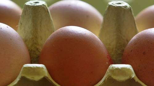 More than 6M eggs recalled over salmonella risk