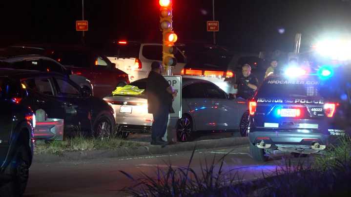 Houston man shot after attacking car during I