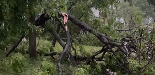 Ameghino: la tormenta causó algunos daños en la ciudad