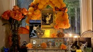 Pets usher in Day of the Dead, are remembered with photos, toys and treats