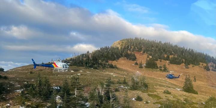 2 hikers seriously injured in bear attack in British Columbia