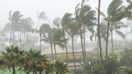 Cyclone ‘Montha’ to turn towards southern Odisha after landfall, 60 to 70 kmph winds likely: IMD DG