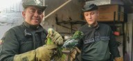 Fauna silvestre en riesgo: los esfuerzos de la Policía para detener el tráfico de especies en Colombia
