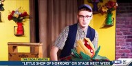 "Little Shop of Horrors" on stage at The TADA Theatre