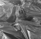 66 muertos y 7 mil 572 damnificados por lluvias en cinco estados del país