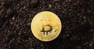 How to Track, Comprehend, and Make Use of Live Bitcoin Prices
