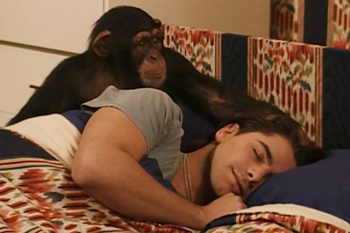 'Full House' Stars Remember Scene with Chimpanzee ‘Spanking’ John Stamos