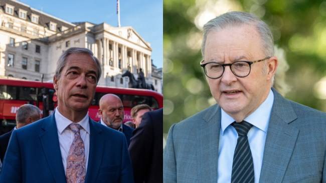 One Nation leader Pauline Hanson blasts Prime Minister Anthony Albanese's 'disgusting' treatment of Reform UK leader Nigel Farage