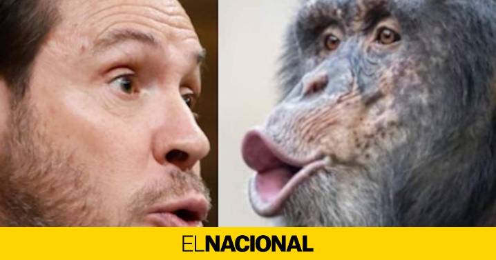 El PP pierde los papeles en las redes con un ministro Puente incendiario