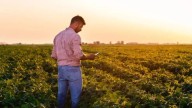 El rol del campo en cuanto al empleo: “2 de cada 10 personas que están en el sector privado trabajan en la industria”