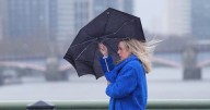 Storm Amy to bring 50mph winds to London this weekend